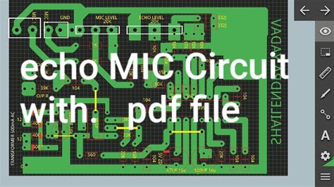 echo mic circuit diagrams 